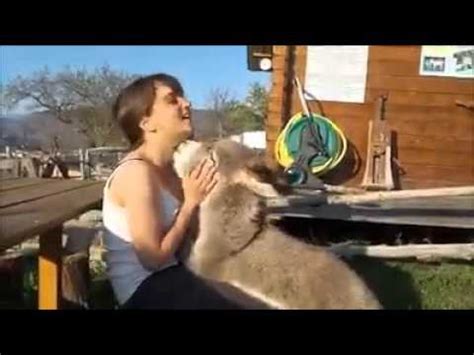 mujer follando con un caballo|Mujer follando con un burro